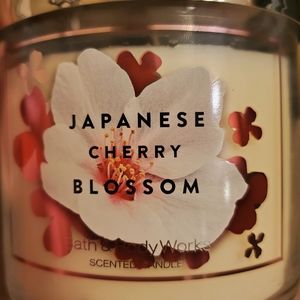 Japanese Cherry Blossom